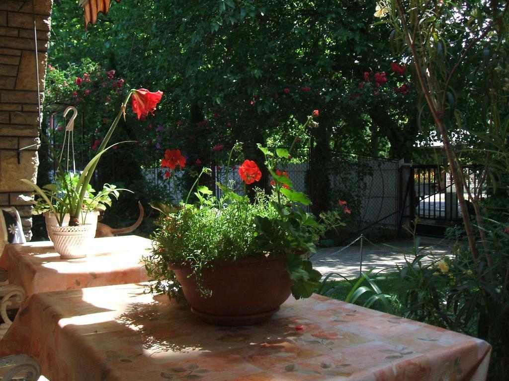 Otis Vendeghaz Apartment Siofok Luaran gambar